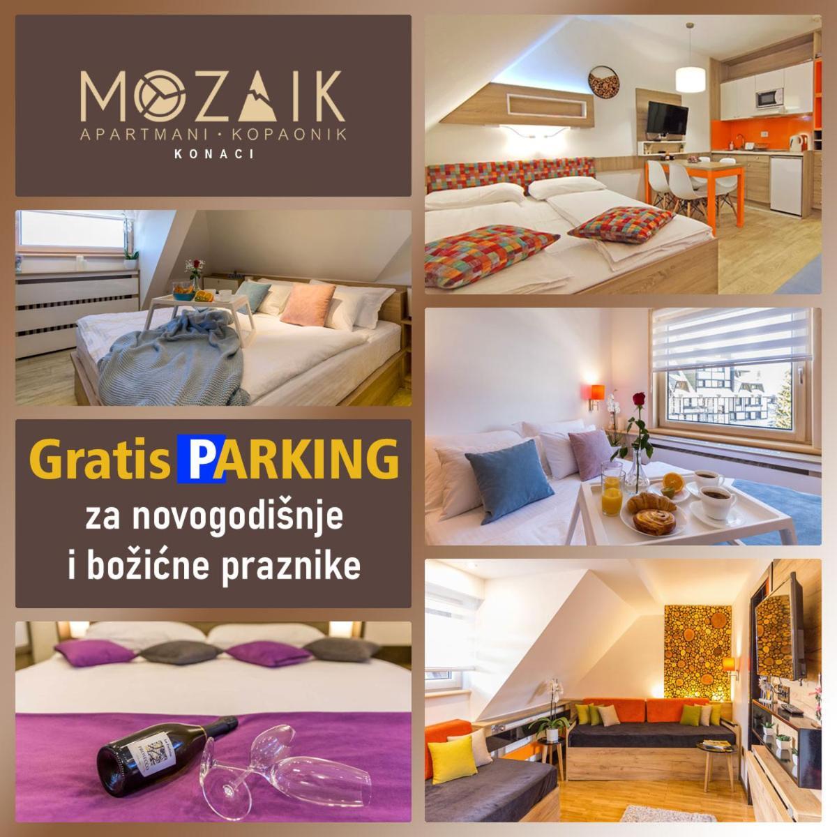 Apartments Mozaik Kopaonik Exteriér fotografie