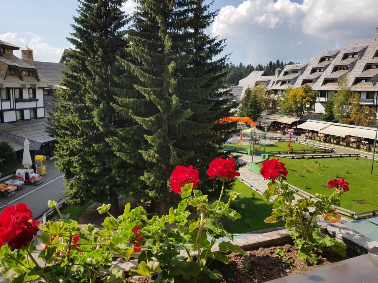 Apartments Mozaik Kopaonik Exteriér fotografie